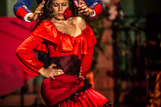 Flamenco 12