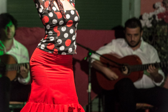 Flamenco 7